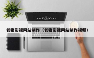 海南老猪影视网站制作（老猪影视网站制作视频）