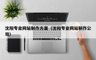 海南沈阳专业网站制作方案（沈阳专业网站制作公司）